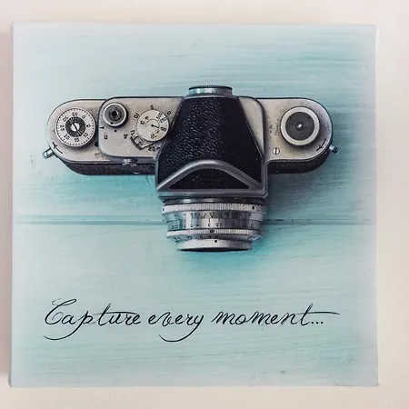 Jacaranda אלבופיירה